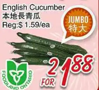 Foody Mart ENGLISH CUCUMBER offer