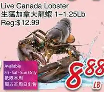 Foody Mart Live Canada Lobster offer