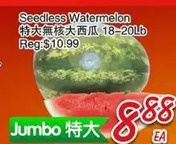 Foody Mart Seedless Watermelon offer