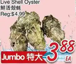 Foody Mart Live Shell Oyster offer