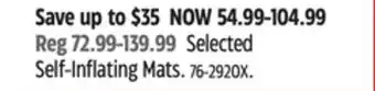 Canadian Tire Woods Selected Self-Inflating Mats offer