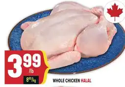 Marché Adonis WHOLE CHICKEN HALAL offer