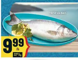 Marché Adonis FRESH SEA BASS offer