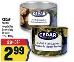 Marché Adonis CEDAR Stuffed vegetables offer
