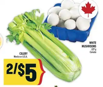 Marché Adonis WHITE MUSHROOMS 227 g, CELERY offer