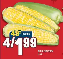 Marché Adonis BICOLOR CORN offer