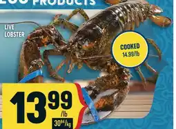 Marché Adonis LIVE LOBSTER offer