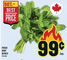 Marché Adonis FRESH MINT BUNCH offer
