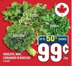 Marché Adonis PARSLEY ITALIAN PARSLEY offer