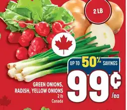 Marché Adonis GREEN ONIONS, RADISH, YELLOW ONIONS offer