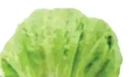 Giant Tiger Iceberg lettuce offer