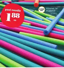Giant Tiger pool noodle offer