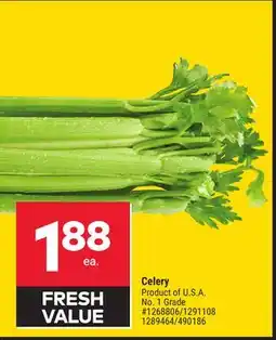 Giant Tiger Celery offer