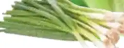 Giant Tiger green onions offer