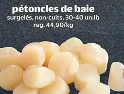 Metro PÉTONCLES DE BAIE offer