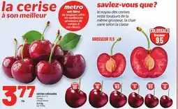 Metro CERISES COLOSSALES | COLOSSAL CHERRIES offer