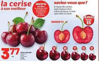 Metro CERISES COLOSSALES | COLOSSAL CHERRIES offer