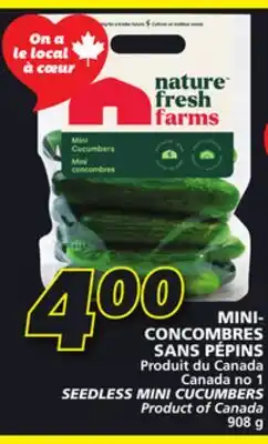IGA SEEDLESS MINI CUCUMBERS offer
