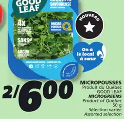 IGA GOOD LEAF MICROGREENS offer