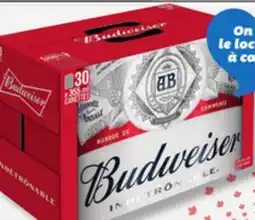 IGA BUDWEISER BEER offer