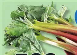 IGA RHUBARB offer