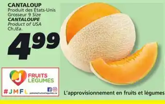 IGA CANTALOUPE offer