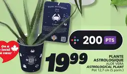 IGA ALOE VERA ASTROLOGICAL PLANT offer
