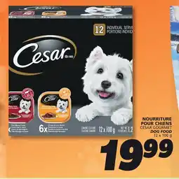 IGA DOG FOOD offer