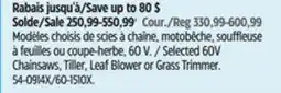 Canadian Tire Selected 60V Chainsaws, Tiller, Leaf Blower or Grass Trimmer offer