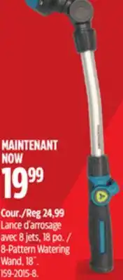 Canadian Tire 8-Pattern Watering Wand offer