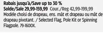 Canadian Tire Flags Unlimited Selected Flag, Pole Kit or Spinning Flagpole offer