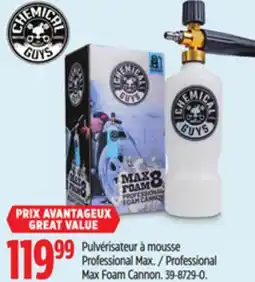 Canadian Tire Professional Max Foam Cannon offer