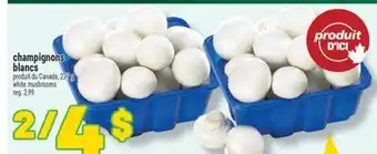 Marché Richelieu Champignons blancs | white mushrooms offer
