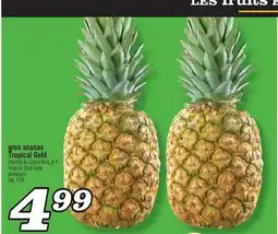 Marché Richelieu GROS ANANAS TROPICAL GOLD | TROPICAL GOLD LARGE PINEAPPLE offer