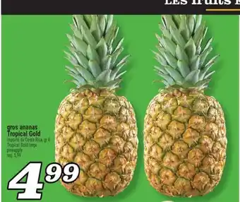 Marché Richelieu GROS ANANAS TROPICAL GOLD | TROPICAL GOLD LARGE PINEAPPLE offer