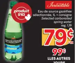 Brunet IRRESISTIBLE Eau de source gazéifiée sélectionnée offer