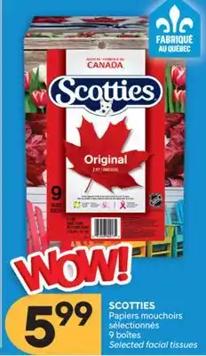 Brunet SCOTTIES Papiers mouchoirs sélectionnés offer