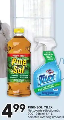 Brunet PINE-SOL, TILEX Nettoyants sélectionnés offer