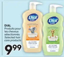 Brunet DIAL Produits pour les cheveux sélectionnés offer