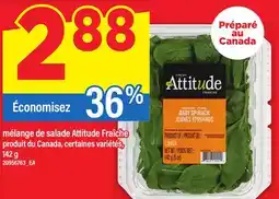 Maxi MÉLANGE DE SALADE ATTITUDE FRAÎCHE, 142 G offer