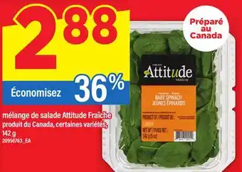 Maxi MÉLANGE DE SALADE ATTITUDE FRAÎCHE, 142 G offer