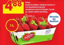 Maxi FRAISES | STRAWBERRIES, 1 L offer