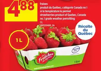 Maxi FRAISES | STRAWBERRIES, 1 L offer