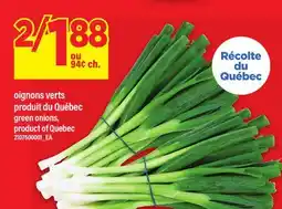 Maxi oignons verts | green onions offer