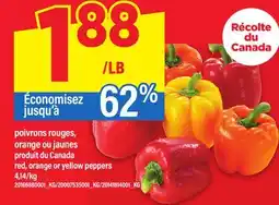 Maxi POIVRONS ROUGES, ORANGE OU JAUNES | RED, ORANGE OR YELLOW PEPPERS offer