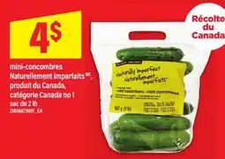Maxi MINI-CONCOMBRES NATURELLEMENT IMPARFAITS MC, sac de 2 lb offer