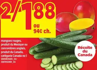 Maxi MANGUES ROUGES OU CONCOMBRES ANGLAIS offer