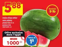 Maxi MELON D'EAU ENTIER SANS PÉPINS offer