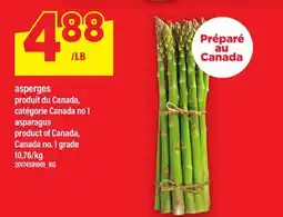 Maxi ASPERGES offer