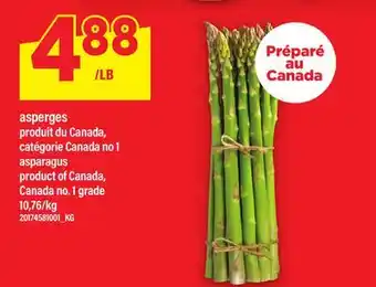 Maxi ASPERGES offer
